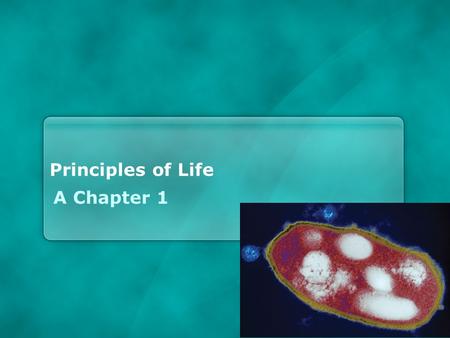 Principles of Life A Chapter 1.