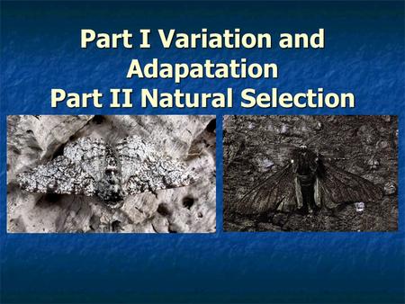 Part I Variation and Adapatation Part II Natural Selection