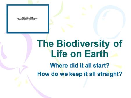 The Biodiversity of Life on Earth Where did it all start? How do we keep it all straight?