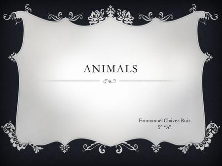 ANIMALS Emmanuel Chávez Ruiz. 5° “A”.. What is it? Look!. It is a … C. It´s a cat. A. It´s a rabbit. B. It´s a goldfish.