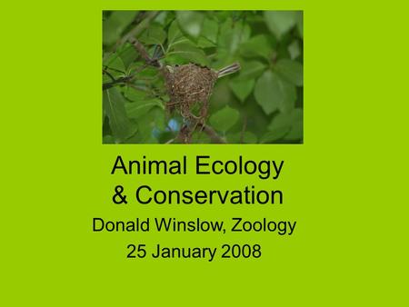Animal Ecology & Conservation Donald Winslow, Zoology 25 January 2008.