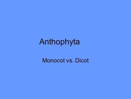 Anthophyta Monocot vs. Dicot. “cot” = cotyledon (seed leaf)