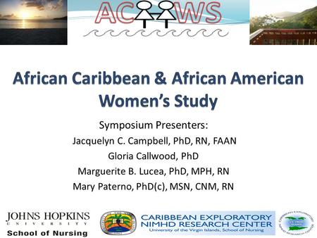 Symposium Presenters: Jacquelyn C. Campbell, PhD, RN, FAAN Gloria Callwood, PhD Marguerite B. Lucea, PhD, MPH, RN Mary Paterno, PhD(c), MSN, CNM, RN.