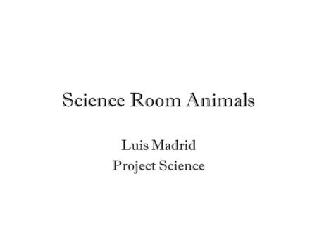 Science Room Animals Luis Madrid Project Science.