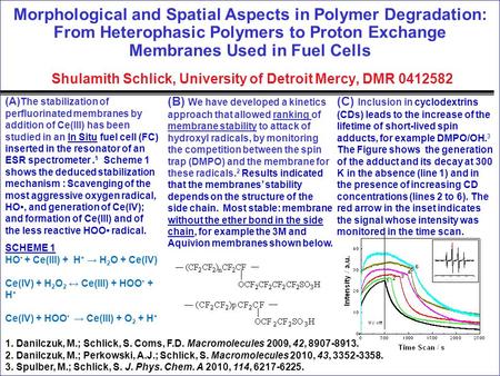 Morphological and Spatial Aspects in Polymer Degradation: From Heterophasic Polymers to Proton Exchange Membranes Used in Fuel Cells Shulamith Schlick,