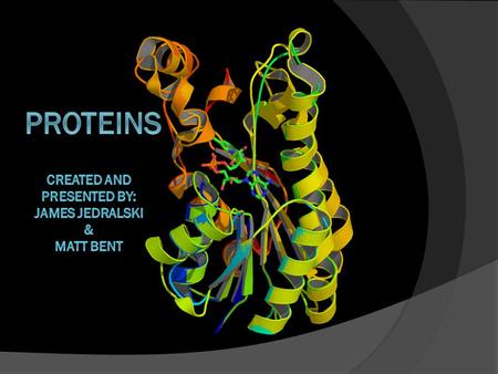 What Are Proteins?  The word “Protein” comes from the Greek word proteios, meaning primary.  Play arguably the most critical roles in the body  The.