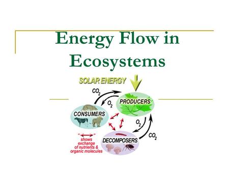 Energy Flow in Ecosystems. Food chains: show the path of energy through trophic (feeding) levels Energy come from the Energy is not recycled – it decreases.