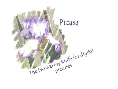 Picasa The Swiss army knife for digital pictures.