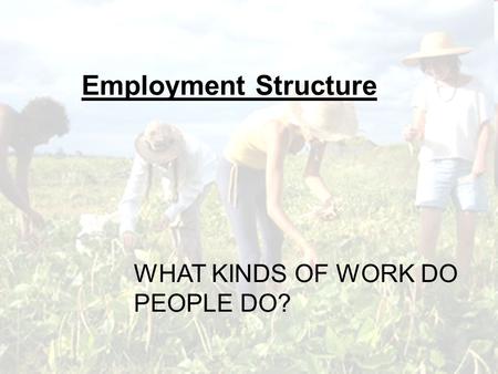 WHAT KINDS OF WORK DO PEOPLE DO? Employment Structure.