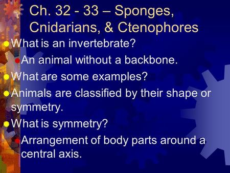 Ch – Sponges, Cnidarians, & Ctenophores