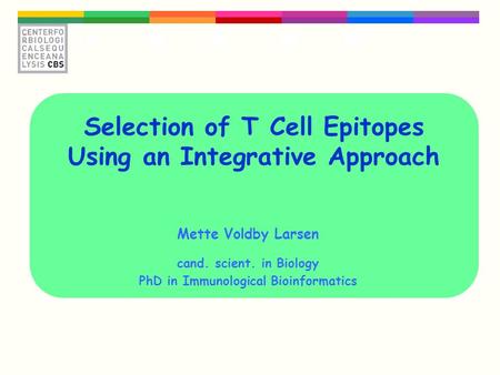 Selection of T Cell Epitopes Using an Integrative Approach Mette Voldby Larsen cand. scient. in Biology PhD in Immunological Bioinformatics.