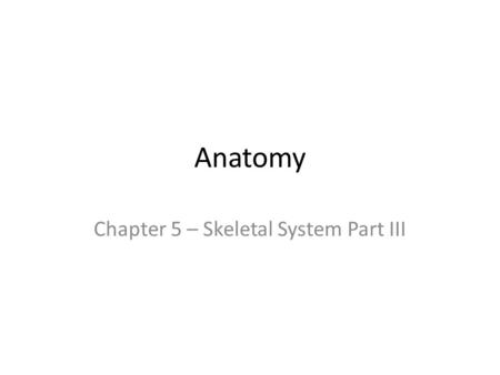Anatomy Chapter 5 – Skeletal System Part III. Appendicular Skeleton – 126 bones of limbs, pectoral and pelvic girdles. Bones of shoulder (pectoral) girdle.