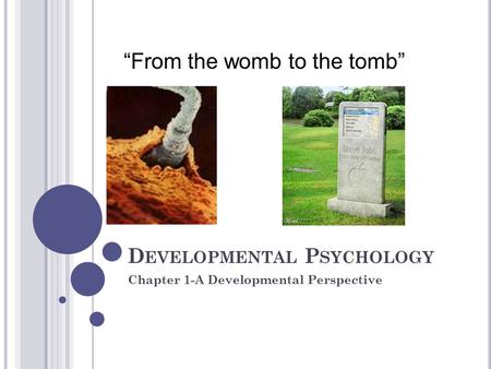 D EVELOPMENTAL P SYCHOLOGY Chapter 1-A Developmental Perspective “From the womb to the tomb”