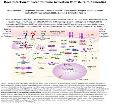Does Infection-Induced Immune Activation Contribute to Dementia? Tatiana Barichello 1, 2 ;Jaqueline S. Generoso 2 ;Jessica A. Goularte 2 ;Allan Collodel.