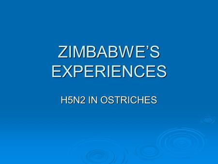 ZIMBABWE’S EXPERIENCES H5N2 IN OSTRICHES. The Outbreak?  Matabeleland North Province  Two ostrich properties Mimosa and Dollar Bubi Mimosa and Dollar.