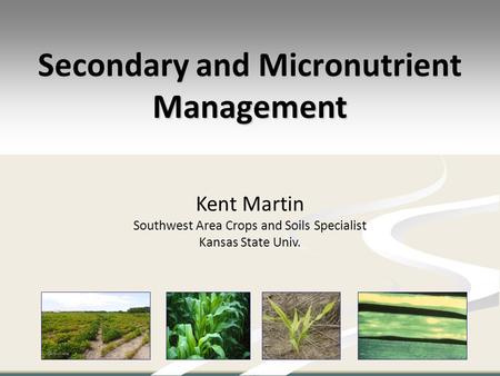 Secondary and Micronutrient Management