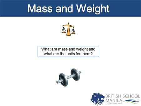 What are mass and weight and what are the units for them?