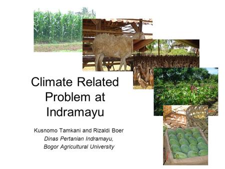Climate Related Problem at Indramayu Kusnomo Tamkani and Rizaldi Boer Dinas Pertanian Indramayu, Bogor Agricultural University.