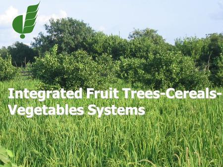 Integrated Fruit Trees-Cereals- Vegetables Systems.