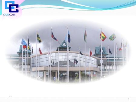 BACKGROUND Programme Title:  The CARICOM Programme on Strengthening Capacity in the Compilation of Social/Gender and Environment Statistics and Indicators.