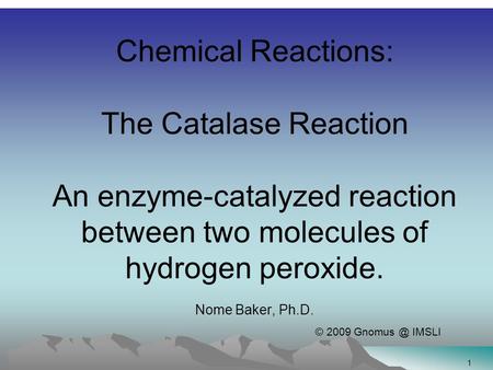 Click to edit Master title style Click to edit Master text styles Second level Third level Fourth level Fifth level 11 Chemical Reactions: The Catalase.