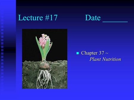 Lecture #17Date ______ n Chapter 37 ~ Plant Nutrition.
