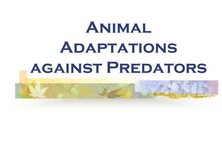 Animal Adaptations against Predators. Organism Name Chemical Defense CamouflageMimicry Name: ___________________________ Class: _______ Date: ______ Survival.