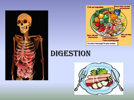 Digestion. What is digestion? Before our bodies can use the (Biomolecules)food that we eat it must first be digested. How does it work? Along the pathway.