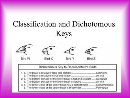 Classification and Dichotomous Keys