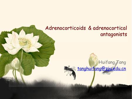 Adrenocorticosteroids drugs