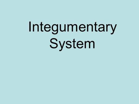 Integumentary System. Skin, hair, and nails. Skin: –Epidermis: outer layer. –Dermis: also called corium, or “true skin.” –Subcutaneous fascia: innermost.