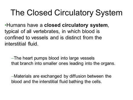 The Closed Circulatory System Humans have a closed circulatory system, typical of all vertebrates, in which blood is confined to vessels and is distinct.