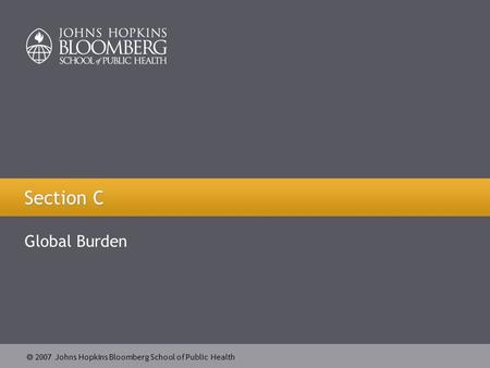  2007 Johns Hopkins Bloomberg School of Public Health Section C Global Burden.