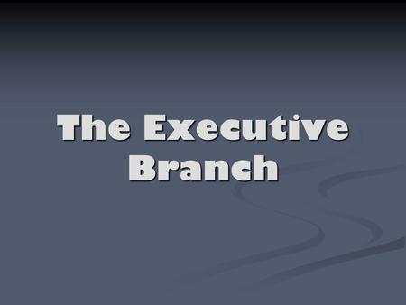 The Executive Branch. Bureaucracy Combined organizational structure in place to manage activity Combined organizational structure in place to manage activity.