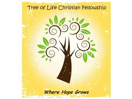 2 Tree of Life Christian Fellowship Strategic Planning September 23, 2007 Tree of Life Christian Fellowship —where hope grows!