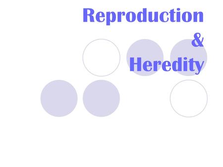Reproduction & Heredity. Stages of Reproduction Fertilization~ Joining of an egg and a sperm in the fallopian tube Click on picture above ***Video Note:
