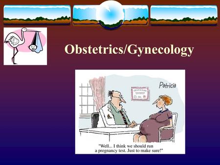 Obstetrics/Gynecology. Female Reproductive System.