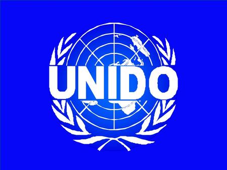 UNIDO. UNIDO UNIDO Technology Foresight; Programme Regional Initiative on Technology Foresight in CEE/NIS Ricardo Seidl da Fonseca INDUSTRIAL PROMOTION.
