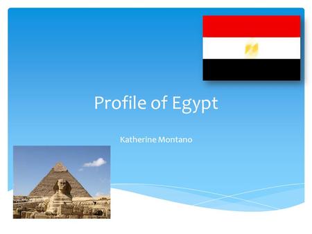 Profile of Egypt Katherine Montano. Egypt Exports% Crude Petroleum 18 Petroleum Gas 10 Refined Petroleum 8.6 Gold 4.5 Nitrogenous Fertilizers 3.4 This.