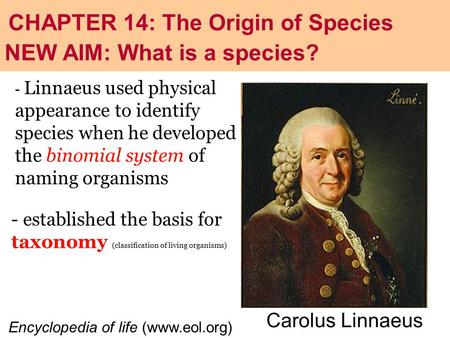 CHAPTER 14: The Origin of Species NEW AIM: What is a species?