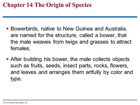 Chapter 14 The Origin of Species