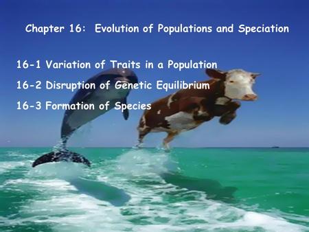 Chapter 16: Evolution of Populations and Speciation