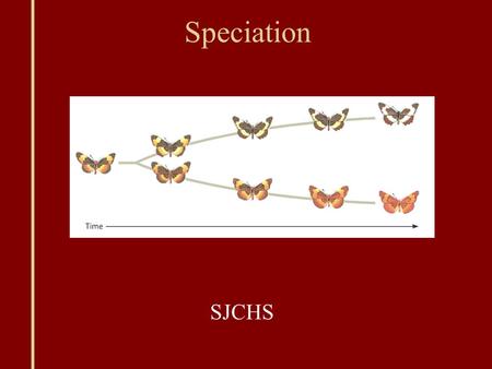 Speciation SJCHS. Evolution Microevolution: Change in a population ’ s gene pool from generation to generation Speciation: When one or more new species.