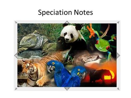 Speciation Notes. Biological Species Concept Two organisms belong to the same species IF: 1)They can mate 2)And produce living and fertile offspring.