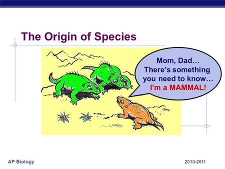 AP Biology 2010-2011 Mom, Dad… There’s something you need to know… I’m a MAMMAL! The Origin of Species.