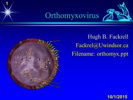 Hugh B. Fackrell Filename: orthomyx.ppt