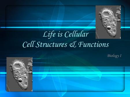 Life is Cellular Cell Structures & Functions Biology I.