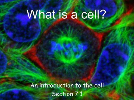 An introduction to the cell Section 7.1