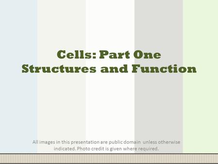 Cells: Part One Structures and Function All images in this presentation are public domain unless otherwise indicated. Photo credit is given where required.