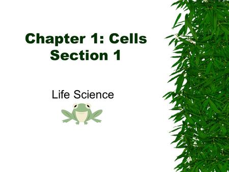 Chapter 1: Cells Section 1 Life Science. Do you Remember?  All living things are organized…  A Cell is the basic unit of structure in living things.